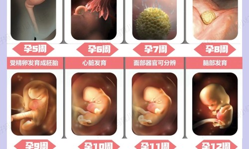 有脑垂体瘤手术效果好吗网 | 有脑垂体瘤手术效果好吗知乎,脑垂体瘤动了手术后会不会有后遗症